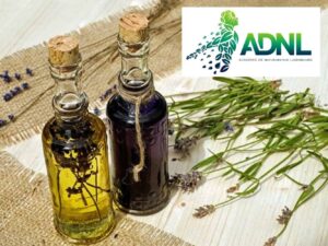 ADNL