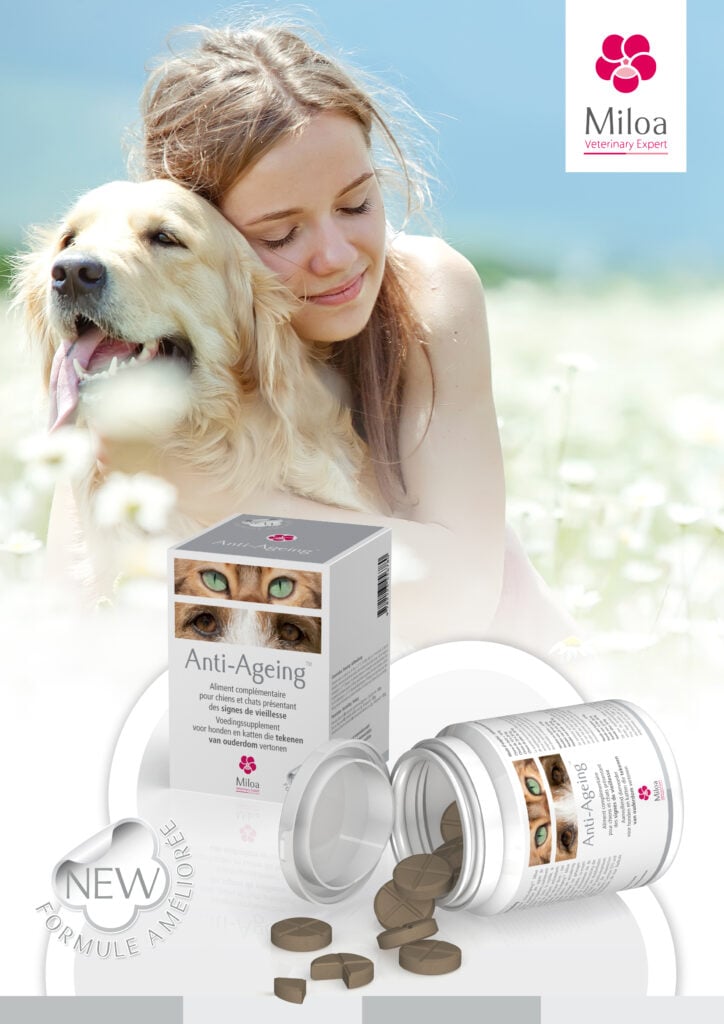 Accueillir son chiot ou son chaton, marque de compléments alimentaires MILOA, compléments anti-âge chiens 