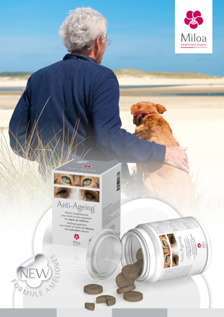 Accueillir son chiot ou son chaton, marque de compléments alimentaires MILOA, compléments anti-âge