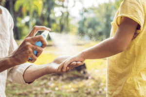 Aromathérapie familiale de l'été