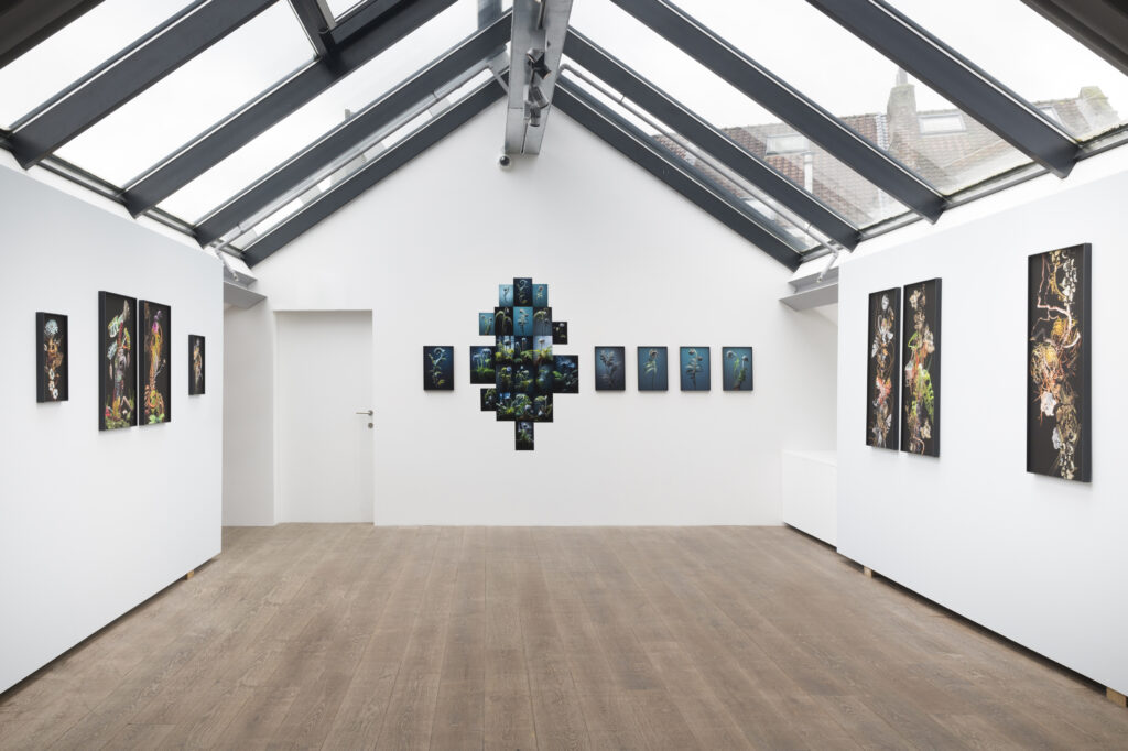 Luxembourg Art Week oeuvres