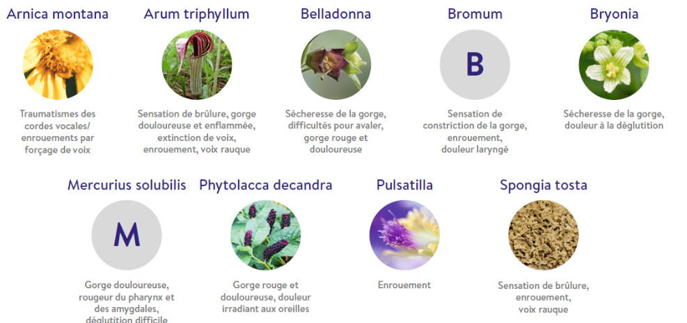 pleine forme, composants actifs Laryngotabs