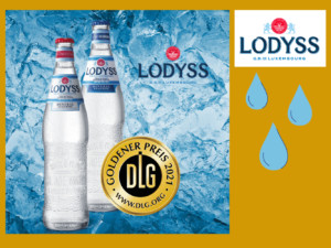 LODYSS