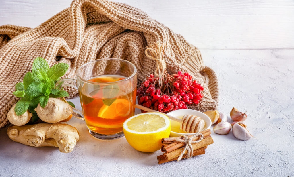 Préparez l'hiver avec la naturopathie, David Blondiau, ADNL,