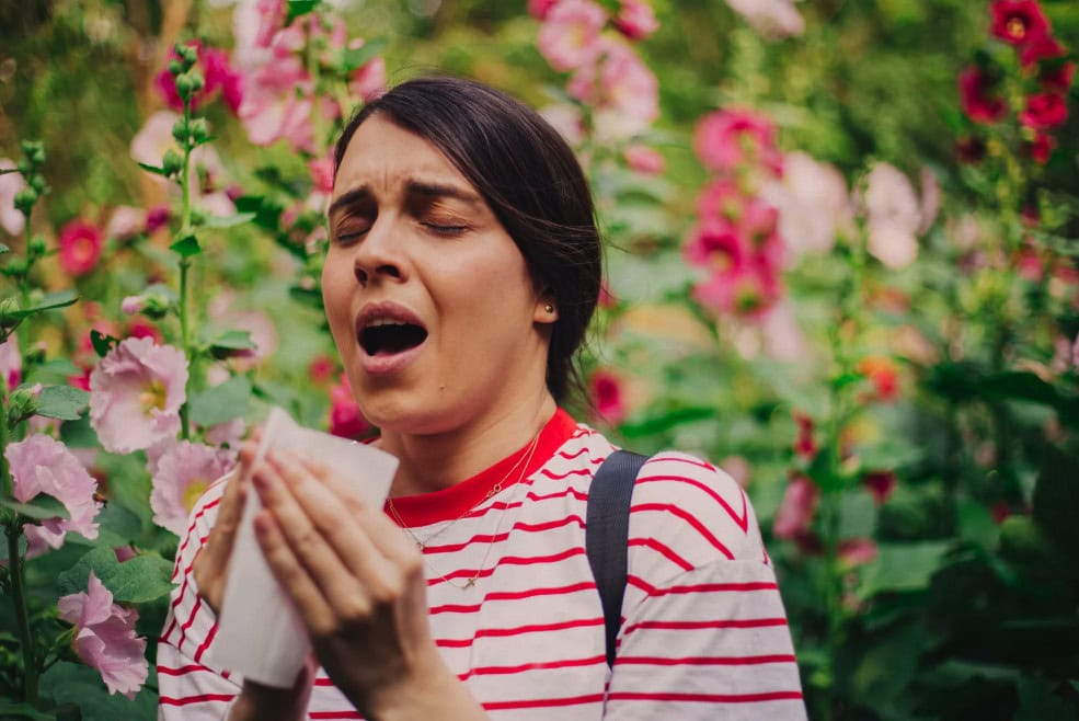 allergies-boiron