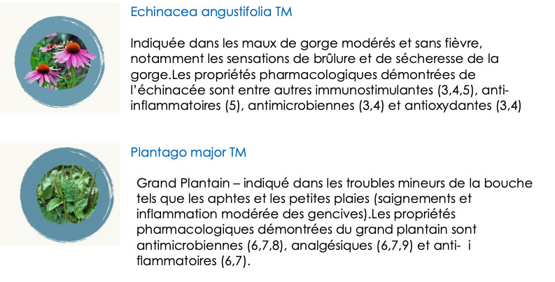 pleine forme, composition Plantspray