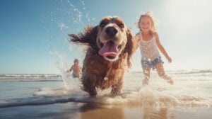 Partir en vacances avec son animal