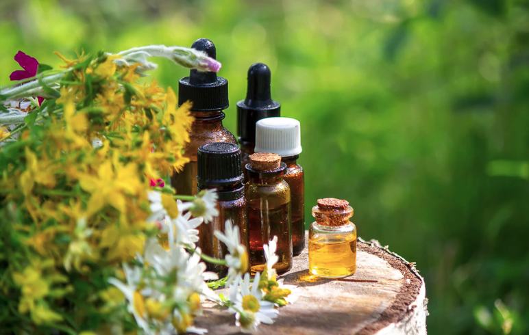 phytotherapie-home page