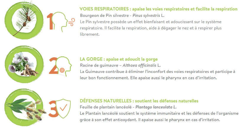 pleine forme, actions du sirop respiplant 